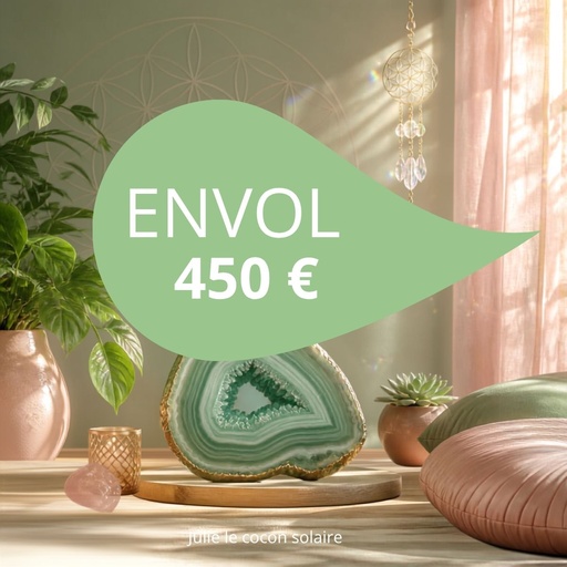 1 mois d'Accompagnement complet pour les professionnels - Envol