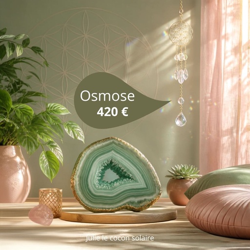 Accompagnement complet sur mesure - Osmose